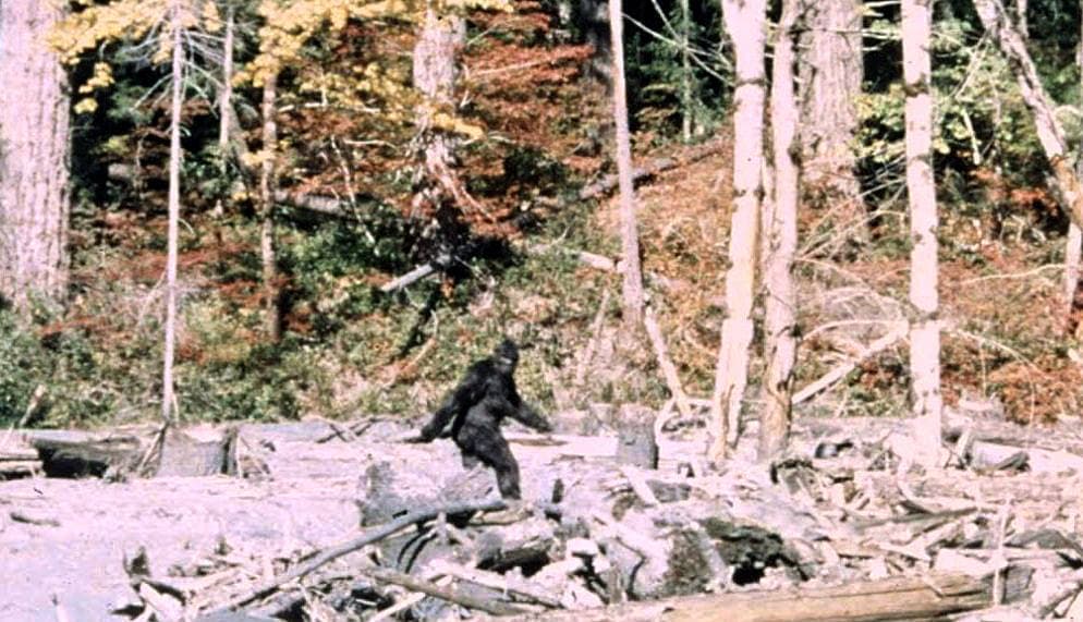 Bigfoot: The Enduring Mystery of North America's Most Famous Cryptid