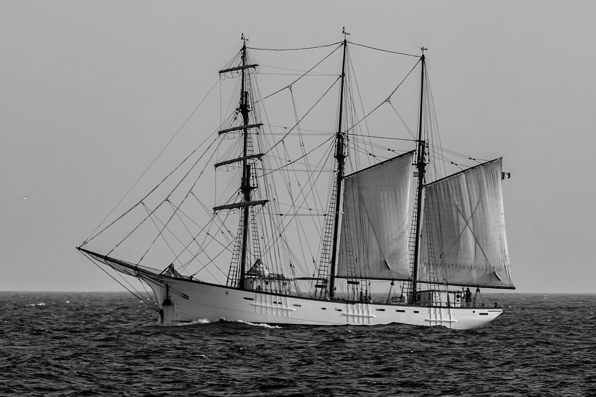 A large schooner under full sail crossing open ocean, evoking the abandoned Carroll A. Deering found with every sail set