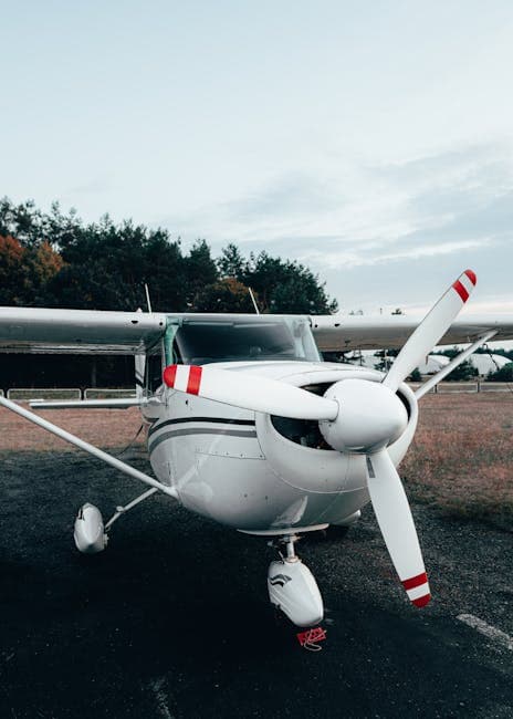 A single-engine Cessna airplane on a grassy airfield, similar to the type Valentich flew
