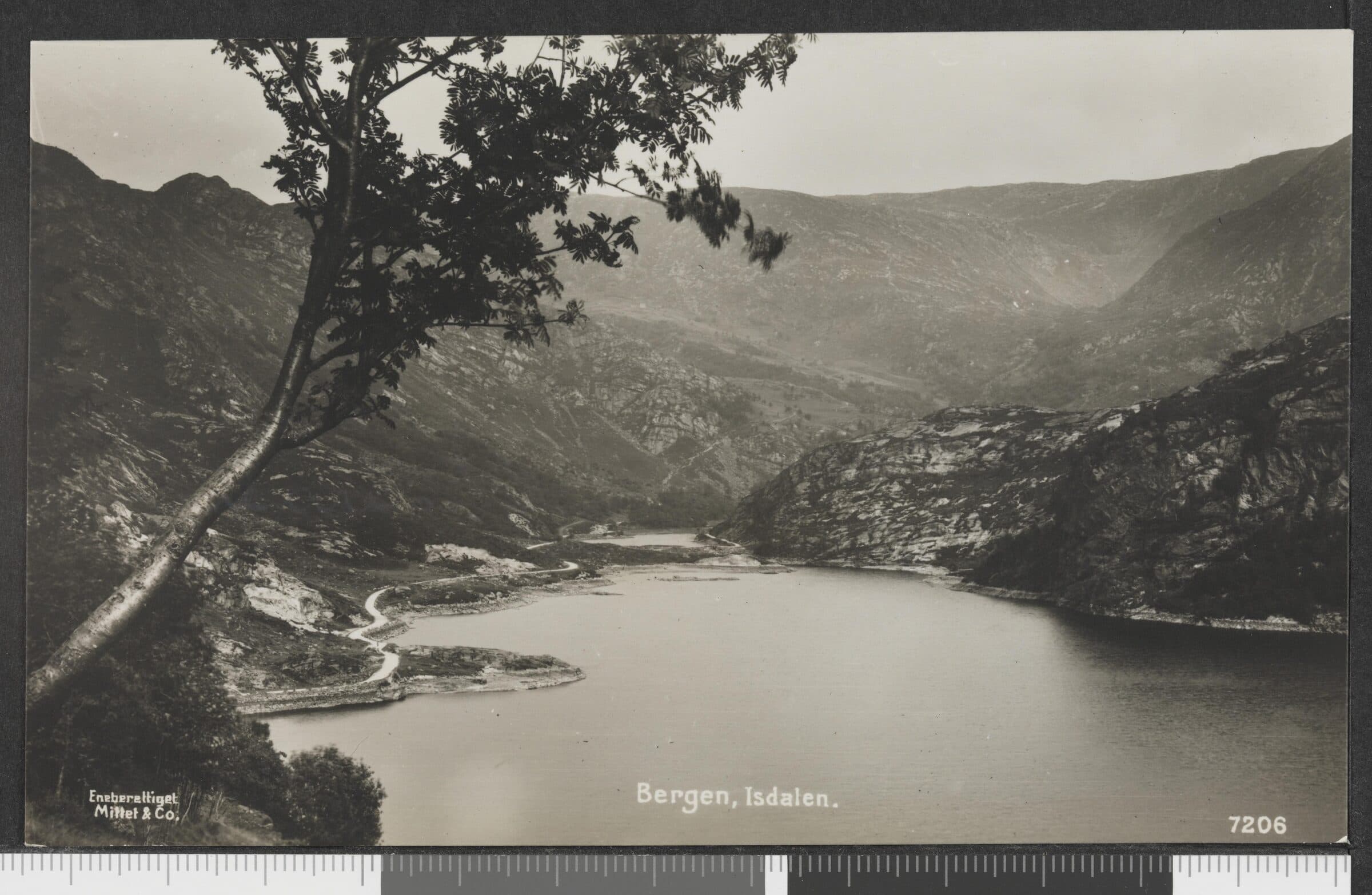 The steep, forested slopes of Isdalen valley near Bergen, Norway, where the Isdal Woman was found in 1970
