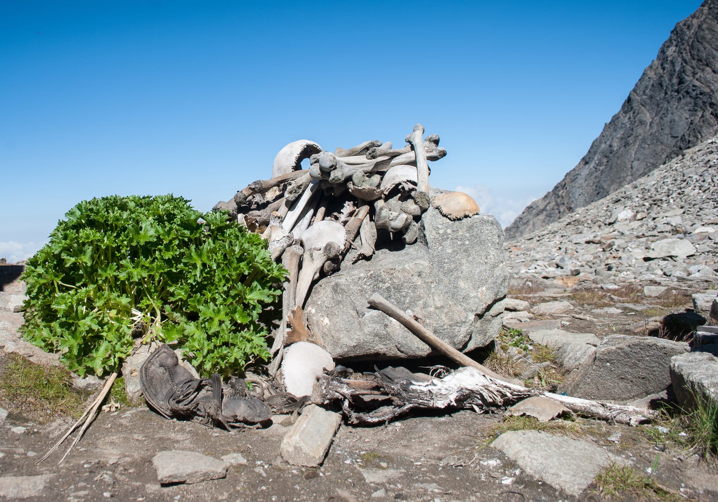 Human skeletal remains scattered among rocks at the edge of Roopkund Lake in the Indian Himalayas